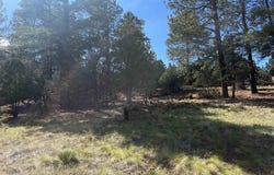 White Tail Lane, Ridgway, CO 81432