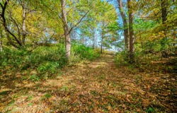 County Road 102, Grey Eagle, MN 56336