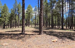 4611 E Monroe Street, Flagstaff, AZ 86004