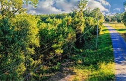 Nathan Jordan Rd, Millry, AL 36558