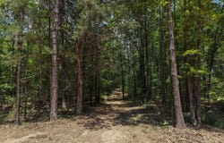 County Road 4452, McLeod, TX 75555