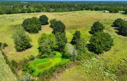 2085 CR 3620, Lovelady, TX 75851