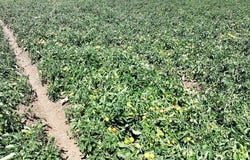 Bixler Rd, Byron, CA 94514