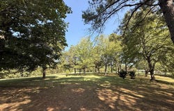 Cypress Rd, BUCHANAN, TN 38222