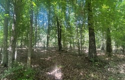 Coal Road Loop, Crofton, KY 42217