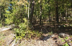 Private Road 2704, London, AR 72847