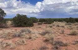 4317 Indian Bend Road, Snowflake, AZ 85937