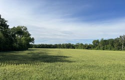 Fifth St, Tescott, KS 67484