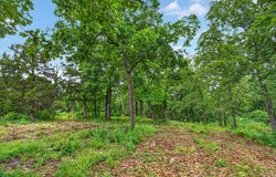 24164 State Highway 254, Hermitage, MO 65668