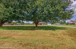8101 Pecan Ridge Drive, Moss Point, MS 39562