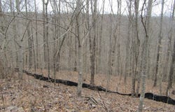 W Bobcat Lane lot: 60, Wilder, TN 38589