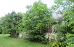 26 POTOMAC Drive, KEYSER, WV 26726