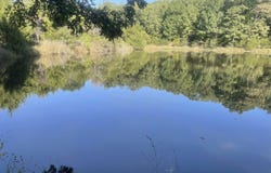 29199 Henning Road, Cole Camp, MO 65325
