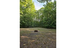 W15586 Sandtown Rd, Curtis, MI 49820