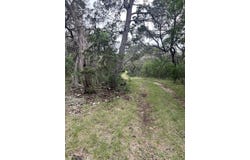 178 N Ringtail Rd, Camp Wood, TX 78833