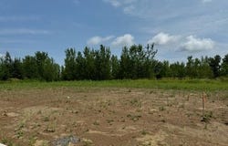 Dickens, Rush City, MN 55069