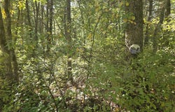 S Jeanne Drive, Baldwin, MI 49304