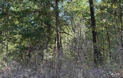 Shady Grove Road, Norphlet, AR 71730