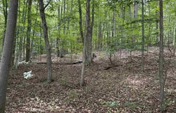 N US-31, Kewadin, MI 49648
