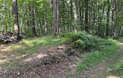Briggs Rd, Remsen, NY 13438