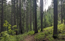 BIA RD. 56, WA