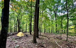 Hogan Hollow Rd lot: 85-91 And 91B, Troutville, VA 24145
