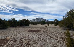 7378 Tulip Trail, Williams, AZ 86046