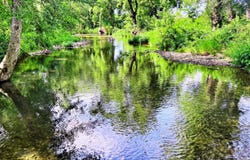 Farm Road 1040, Exeter, MO 65647