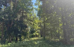 863 Aronimink Drive, Harbor Springs, MI 49740
