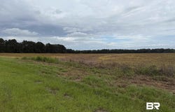 7600 Block Bratt Road, Century, FL 32535