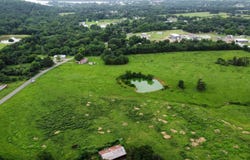 1425 N 2nd Street, Ozark, AR 72949