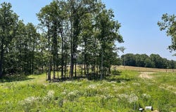 Co Rd 3440, Mountain View, MO 65548