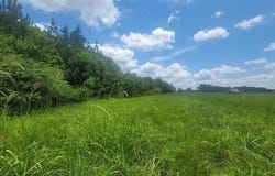 0 Hwy 280, Harpersville, AL 35078