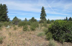 Ranch Road, Chiloquin, OR 97624