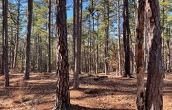 5-H Parrish Trail, Moyers, OK 74557