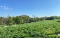 2451 Sardis Rd., Mount Olivet, KY 41064