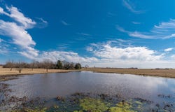 W FM-1566, Celeste, TX 75423