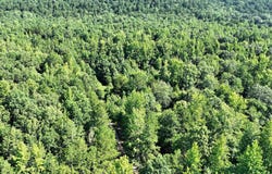 Polk Road 69, Mena, AR 71953