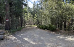 Dandelion Drive, Shingletown, CA 96088