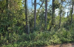 150 County Road 358, Jasper, TX 75951