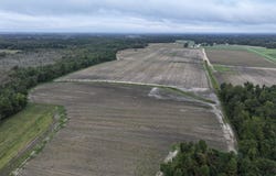Huckleberry Road, Lucama, NC 27851