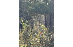 585 N Czech Ln, Hessel, MI 49745