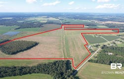 5700 Block Pine Forest Road, Walnut Hill, FL 32568