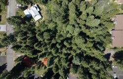 813 Reedy Ln, McCall, ID 83638