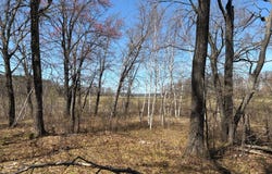 Mann Road, Spooner, WI 54801