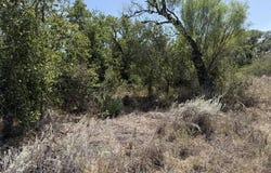 4-6 N Walnut, Brady, TX 76825
