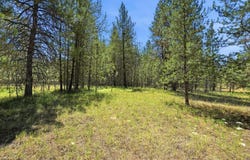 E Owens Rd, Chattaroy, WA 99003