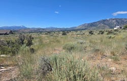 18 Sunrise Trail, Markleeville, CA 96120