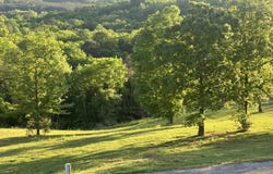 County Road 1015 lot: 21, Cedar Bluff, AL 35959