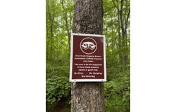 Tbd Cove Creek Rd, Bastian, VA 24314